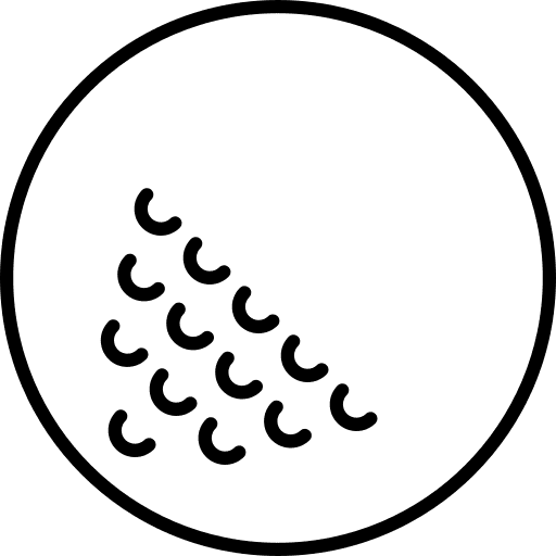 3933544